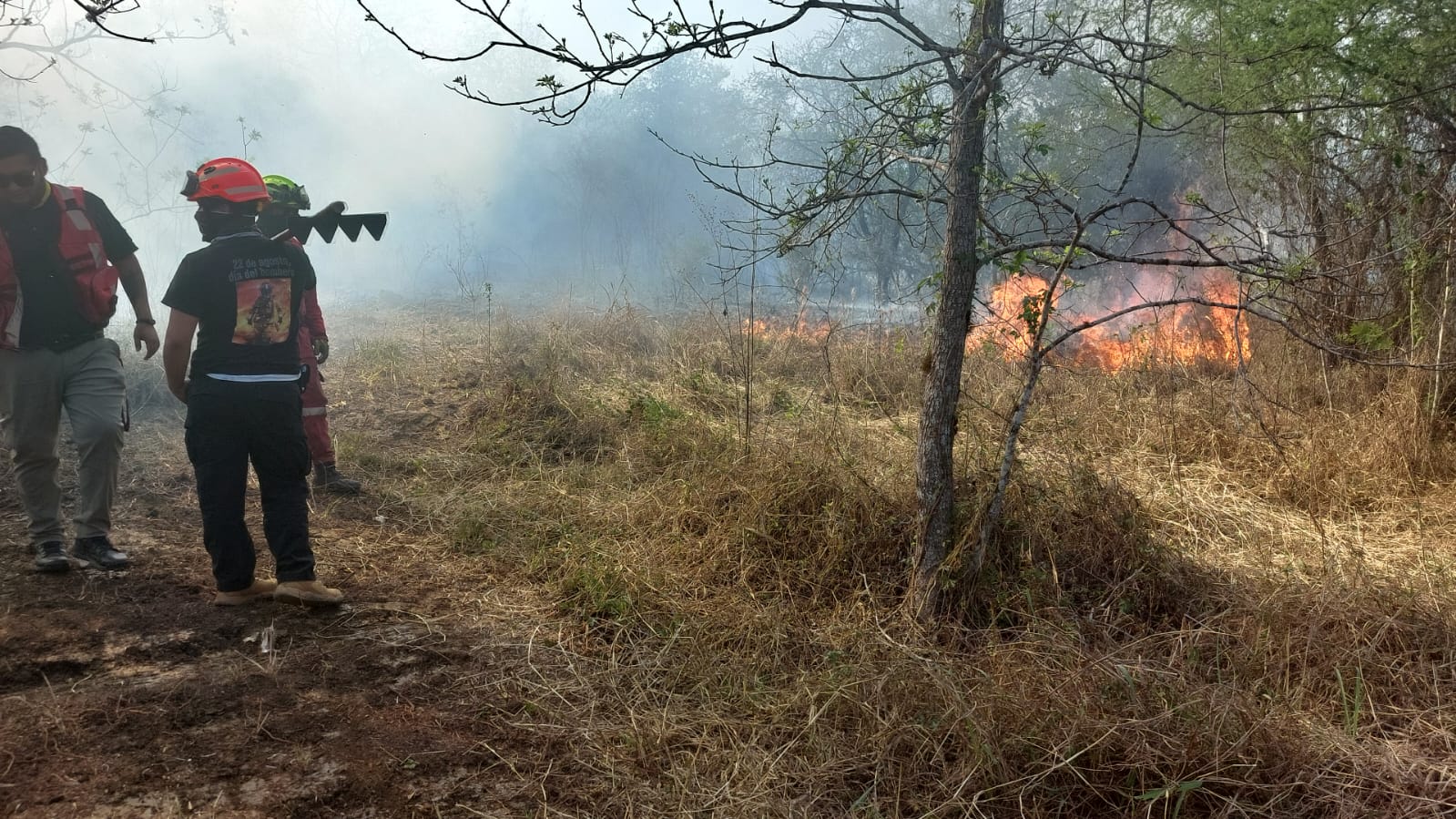 Combaten M S De Incendios En Lotes Bald Os El Semanario De Nuevo Le N