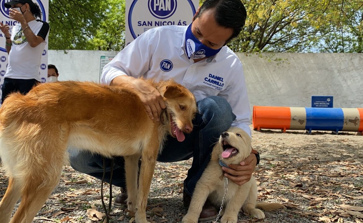 Ofrece Daniel Carrillo promover el bienestar animal junto con asociaciones  - El Semanario de Nuevo León