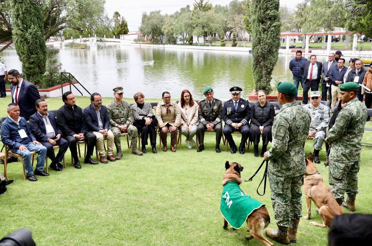 Crean SSPC Y Edomex acciones para combatir el maltrato animal - El ...