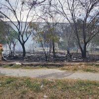 Controlan incendio en terreno baldío en Santa Catarina